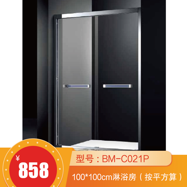 BM-C021P