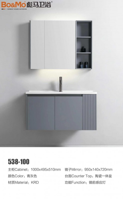 BM538-100