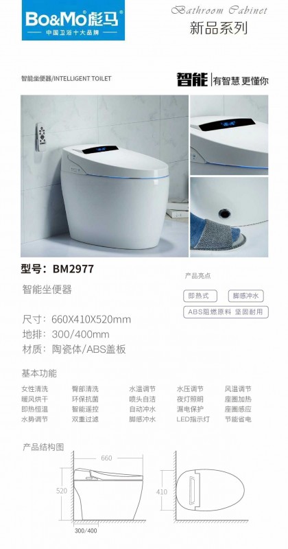 BM-2977